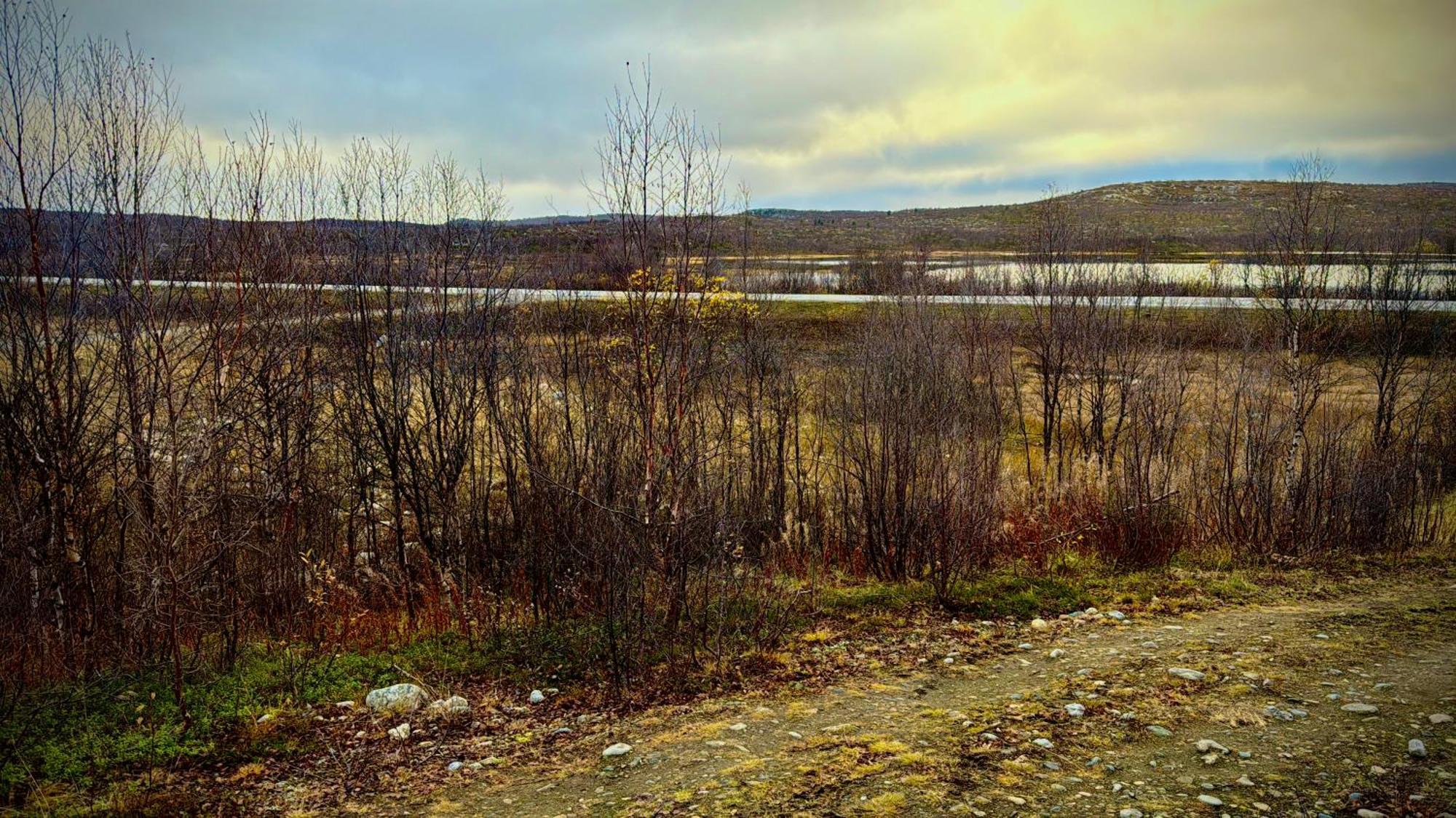 Cottage Lavkavann Finnmarksvidda Skoganvarre エクステリア 写真