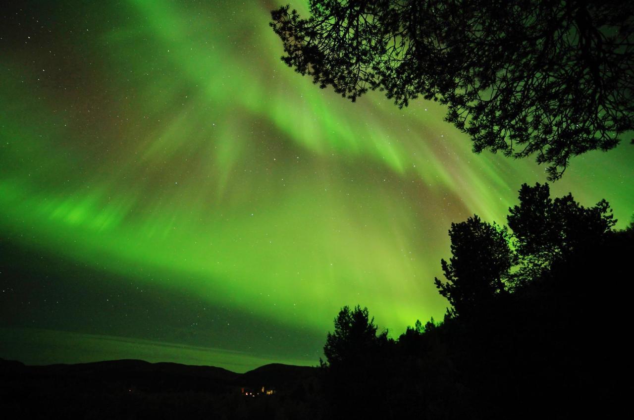 Cottage Lavkavann Finnmarksvidda Skoganvarre エクステリア 写真