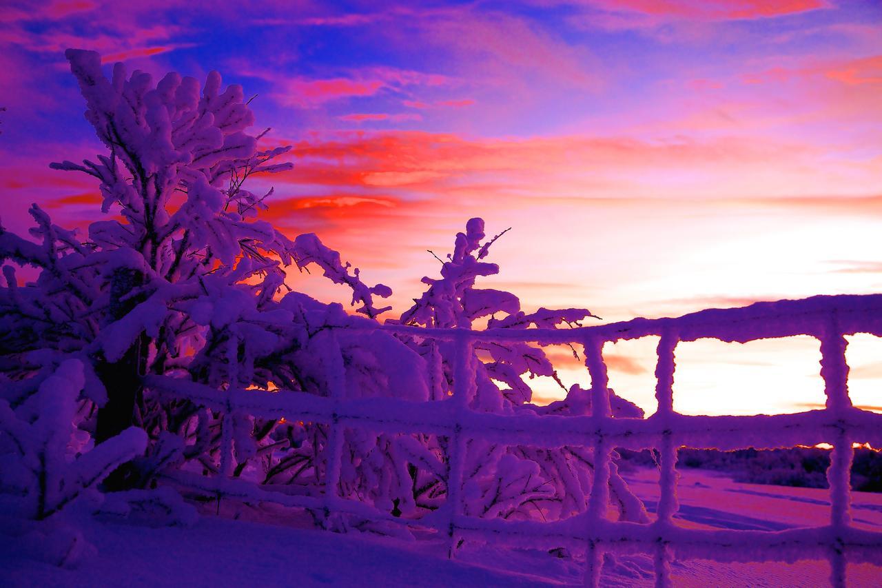 Cottage Lavkavann Finnmarksvidda Skoganvarre エクステリア 写真