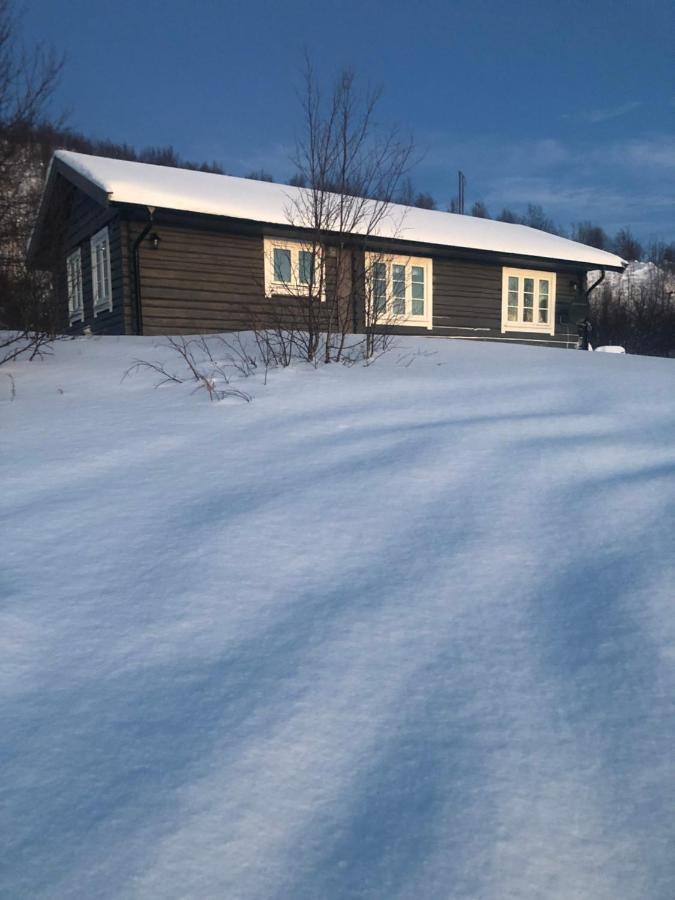 Cottage Lavkavann Finnmarksvidda Skoganvarre エクステリア 写真